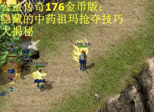 公益传奇176金币版：隐藏的中药祖玛抢夺技巧大揭秘